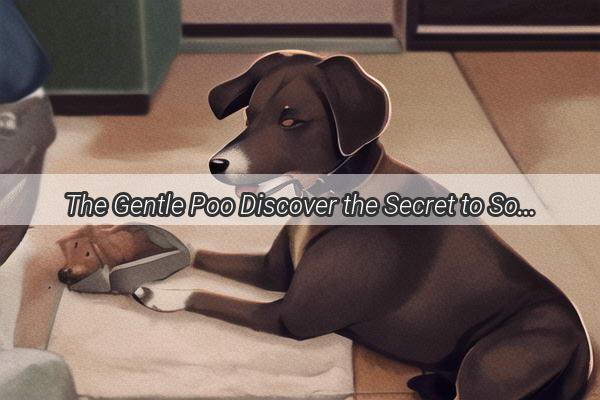 The Gentle Poo Discover the Secret to Soft Dog Poop and Happy Walks